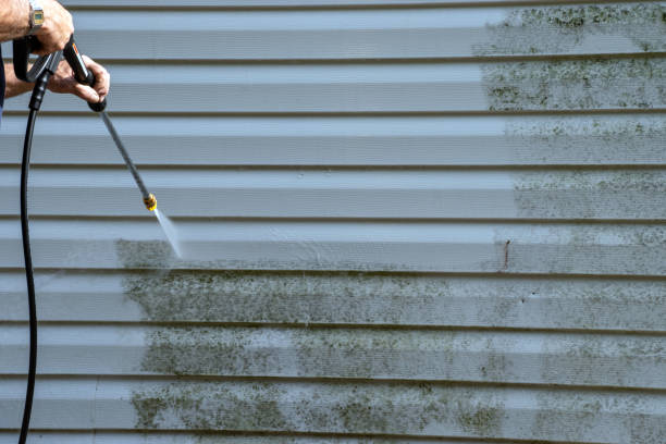 Best Shed Removal  in Meadow Woods, FL