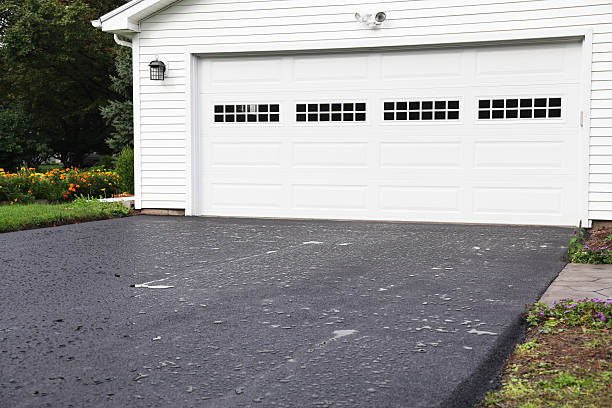 Same-Day Junk Removal Services in Meadow Woods, FL