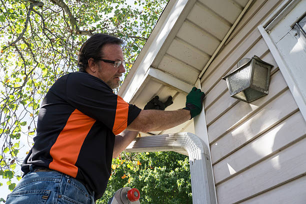 Best Attic Cleanout  in Meadow Woods, FL